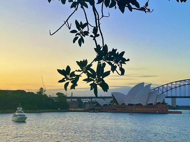 Sydney’s famous landmark view from  Mrs Macquaire’s chair 🇦🇺🌅