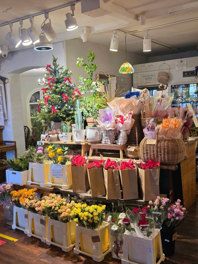 🌳🎄인천 로즈스텔라정원 ❄️