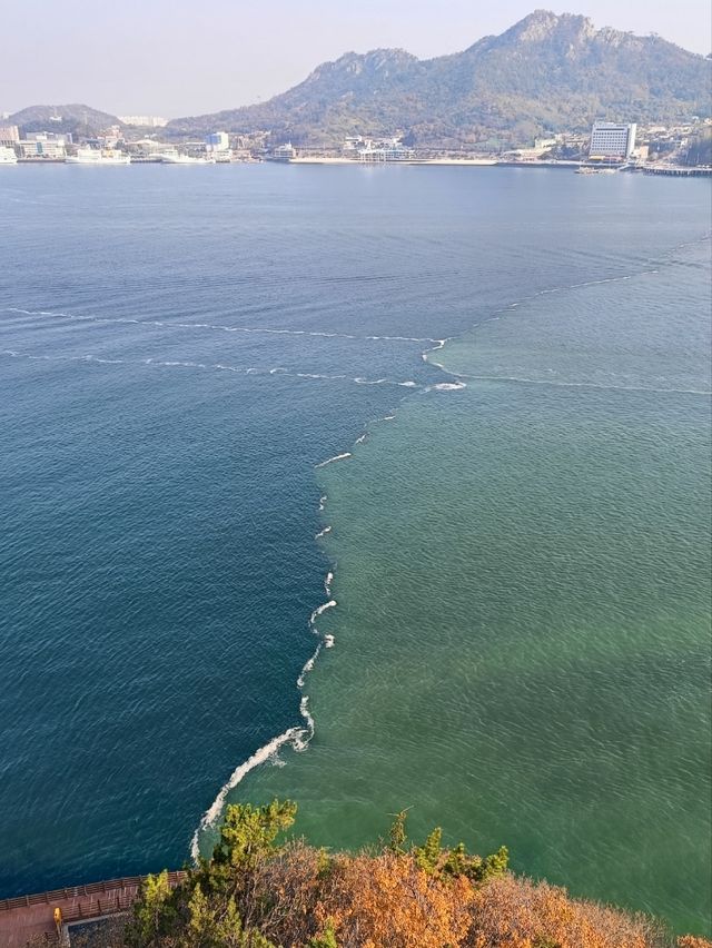 Мокпо Мокпо