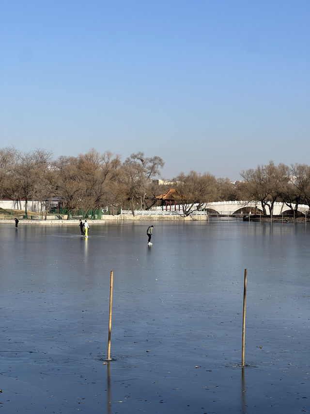 🇨🇳 선양 시민들의 휴식처 북릉공원 🇨🇳 선양 시민들의 휴식처 북릉공원