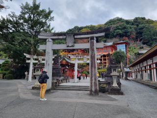 🌸 [Saga Travel near Fukuoka] Places to Visit in Spring - Cherry Blossoms 🦊 Yutoku Inari Shrine