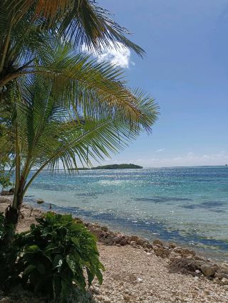 Caribbean Vibes - A Trip to the Dominican Republic.