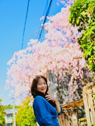 Cherry Blossom Viewing at the Philosopher's Path.