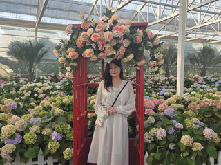 5월 수국배경 예쁜사진🌸☘️🪻
