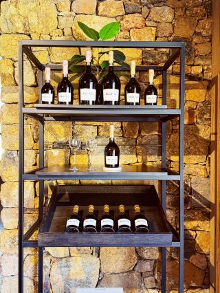 Vasse Felix Winery: Grab Affordable Wine Souvenirs After Tasting