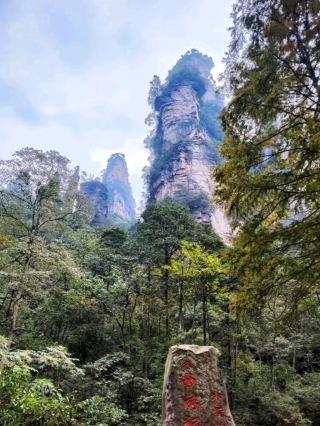 🇨🇳夢幻奇景｜穿越阿凡達取景地 武陵源必玩全攻略🌄