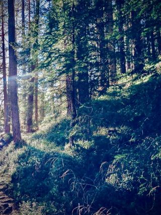 塞多澤羅和懸崖苔蘚薩米聖地：岩石上的庫伊瓦巨人easytravelpost #塞多澤羅 #