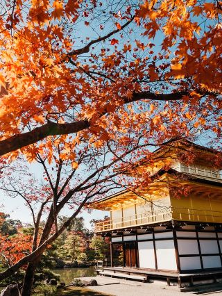 Kyoto is Ablaze: Experiencing the Fall Magic Colours of Momijigari