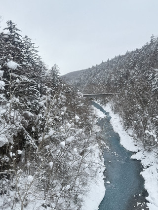 비에이의 겨울: 홋카이도에서 보내는 마법 같은 하루 ❄️💙