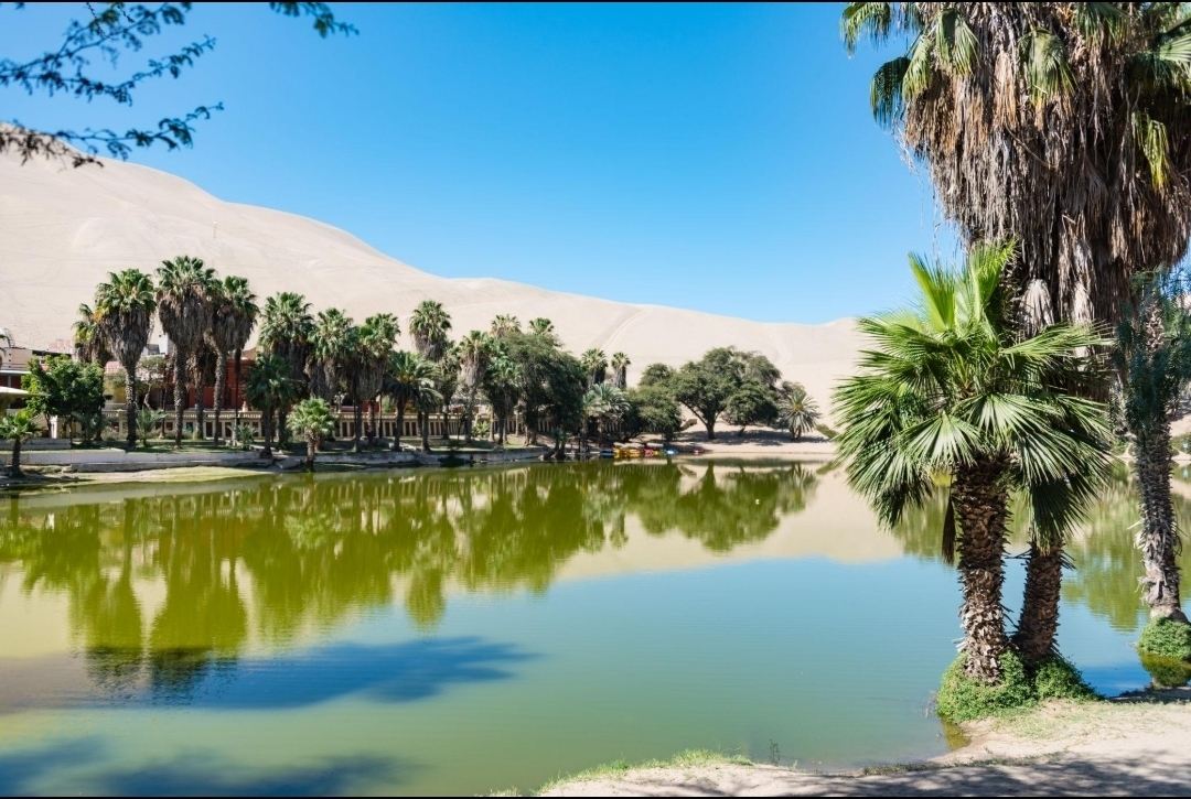 🇵🇪 秘魯瓦卡奇納－沙漠中心的隱密綠洲 🏜️✨