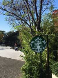 타이베이 |  멋진 풍경로 유명해진 특별한 단수이 스타벅스 ☕️