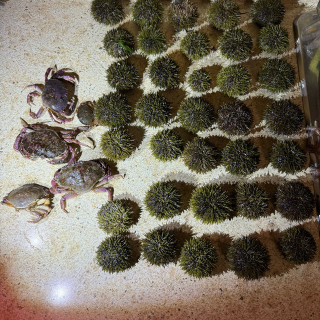 赶海