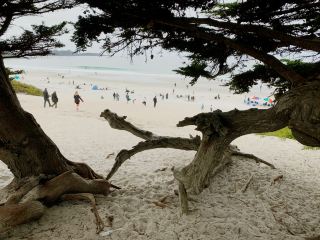 Carmel-by-the-Sea는 낭만적인 휴양지입니다.