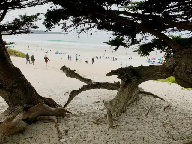 Carmel-by-the-Sea，a romantic getaway