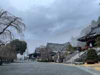 日本小众寺庙民宿推荐｜身延寺·武井坊 (Takeibou)｜诵经体验＋素斋＋自然静心之旅