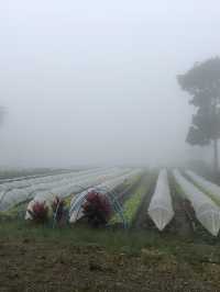 Visiting Bemwa Farm in Spring 