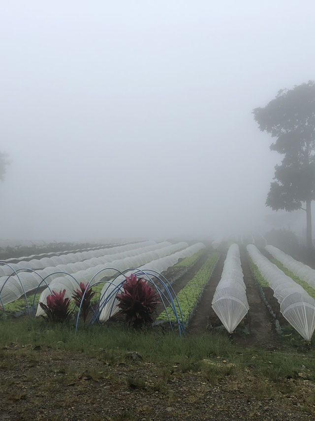 Visiting Bemwa Farm in Spring 