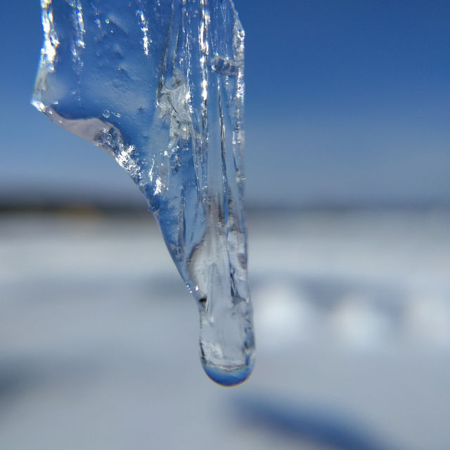 黃刀鎮極光之旅｜夢幻極光＋冰釣＋狗拉雪橇 ✨❄️