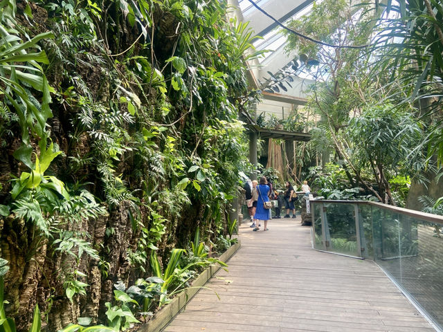 ✨🦜我在紐約中央公園動物園觀雀的樂趣✨