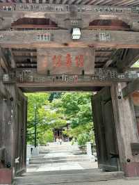 🏮【伊豆修善寺】隱世古町的日式療癒之旅🌿｜溫泉、竹林小徑、禪意滿滿✨