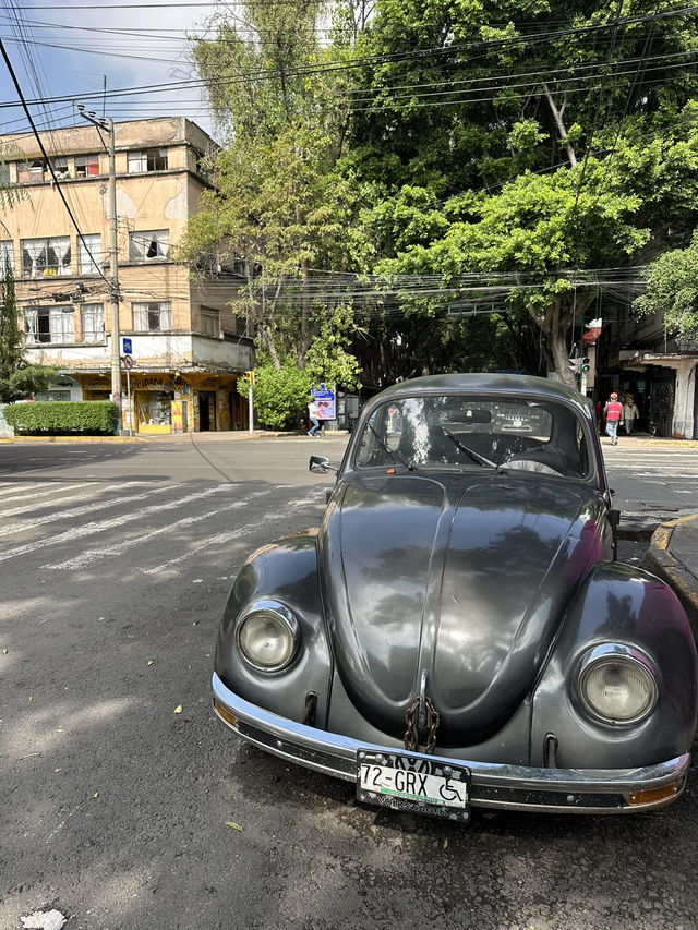 Cuauhtémoc – Mexico City’s Cultural Crossroads. The Neighborhood That Never Sleeps🪅🪅