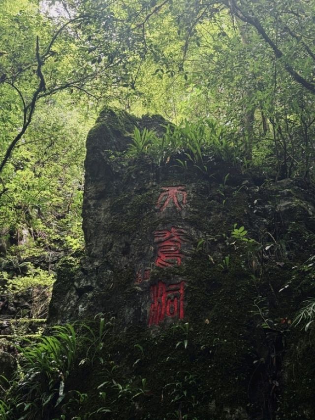 三明天鵝洞群超有特色 三明天鵝洞群超有特色