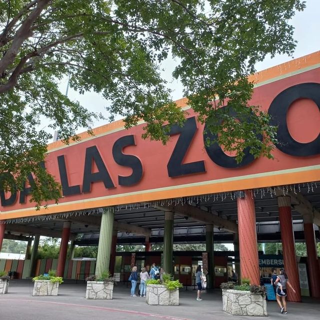 Dallas Zoo 🇺🇸