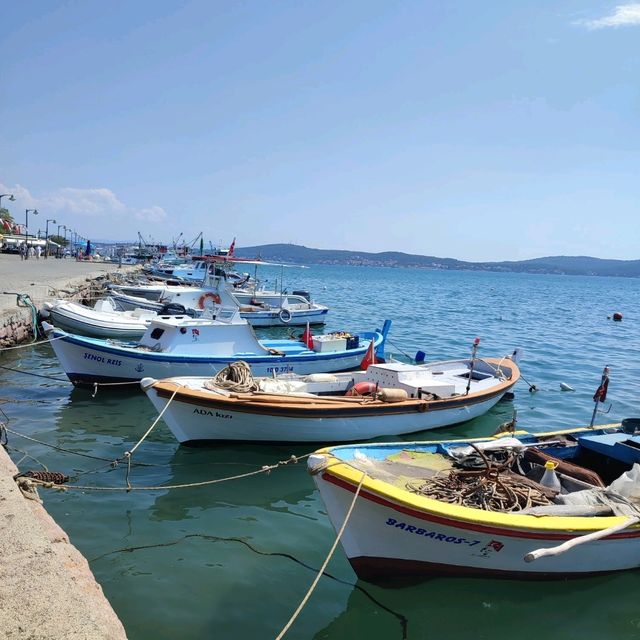 Raki, Balık, Ayvalık!