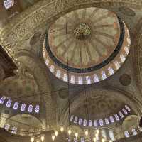 Istanbul: City of Roses, Palaces & Waterways