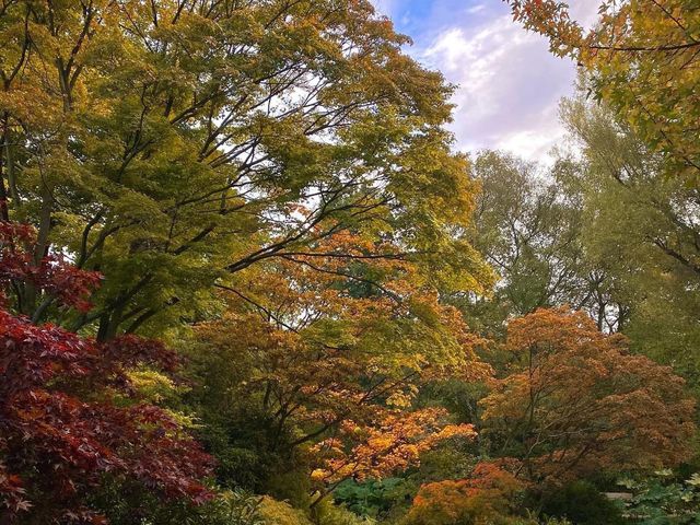 Winterbourne House & Garden 🇬🇧