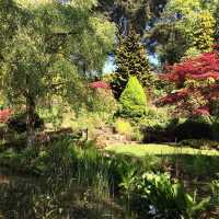 Manchester botanical gardens is so peaceful