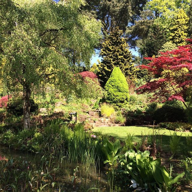 Manchester botanical gardens is so peaceful