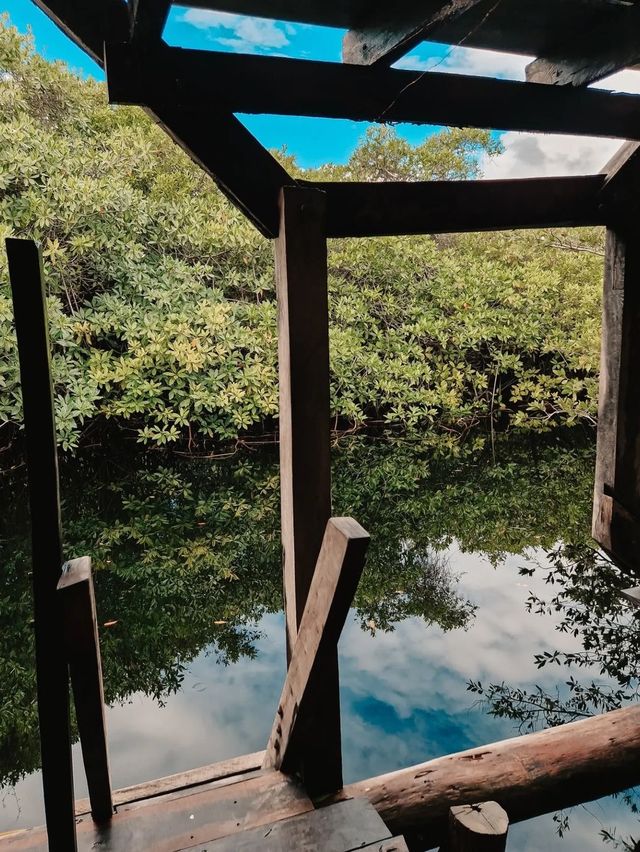  UMAN Glamping & Cenote Tulum