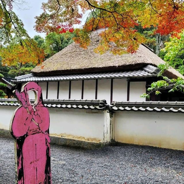 《伊賀流忍者博物館》精彩的忍者戰鬥表演🥷