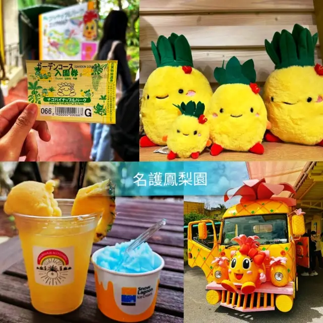 🍍名護鳳梨園🍍代表沖繩之水果