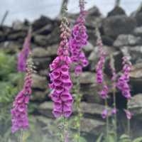 Hiking Lovers in Wales 
