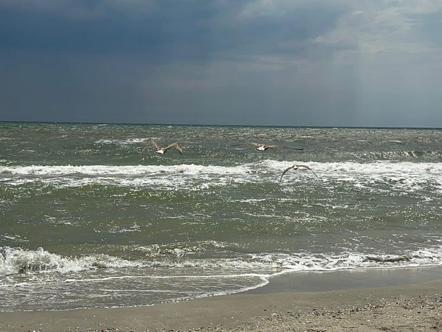Vadu beach 🇷🇴
