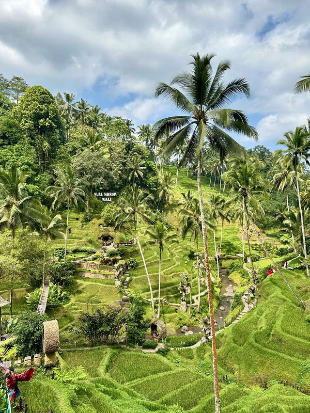 Alas Harum Bali