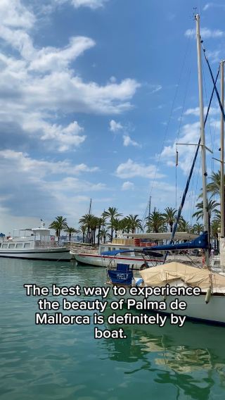 Exploring Palma de Mallorca By Boat or on Foot 🚤🌴