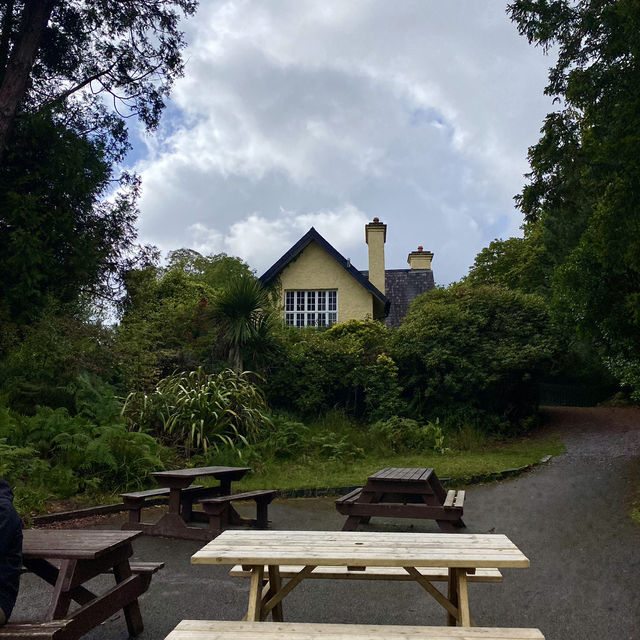 Muckross Lake Loop Walk 👌