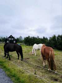 Árbær Open Air Museum