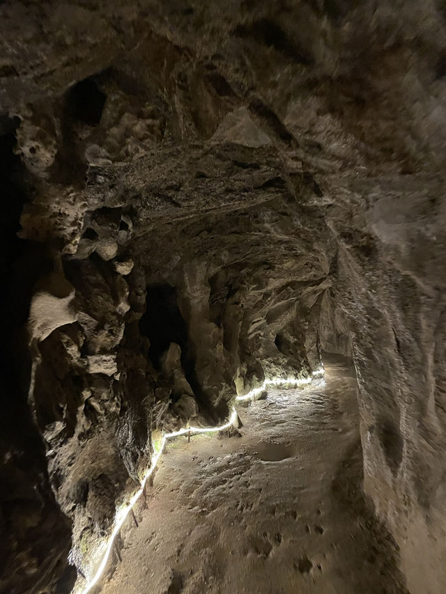 1-Day Sintra, Portugal Itinerary 🇵🇹 Mystical Garden at Quinta da Regaleira is a must!