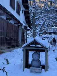 Day Trip from Tokyo to See the Snow Monkeys 🐒
