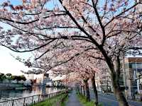 白鳥庭園