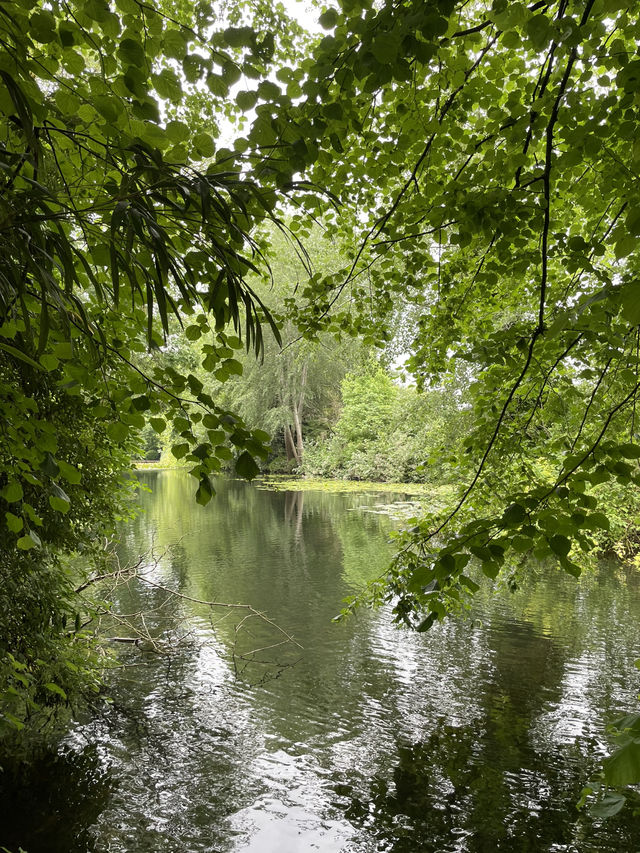 🌿 Worcester College, Oxford: A Hidden Garden Oasis 🌿