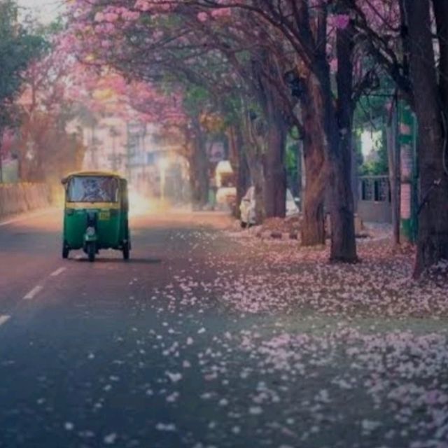 City of flowers -Bangalore 