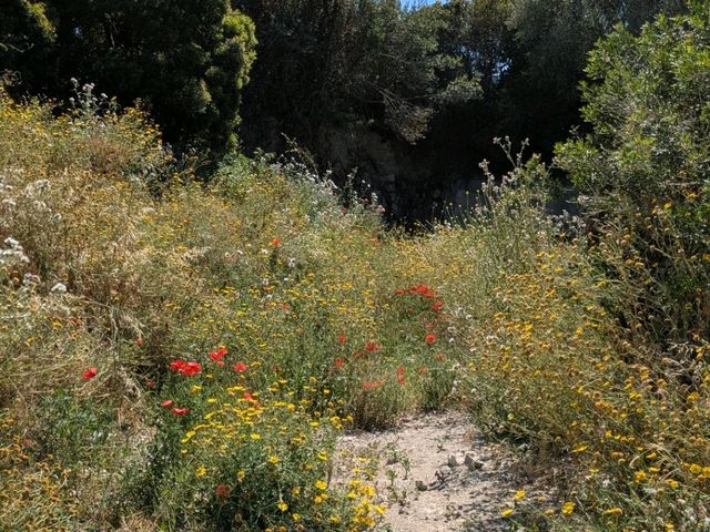 Walking to Castelsardo while avoiding the main road.