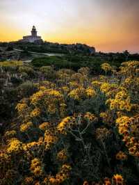 🌊 Capo Testa: Sardinia’s Wind-Carved Peninsula of Wild Beauty 🇮🇹✨