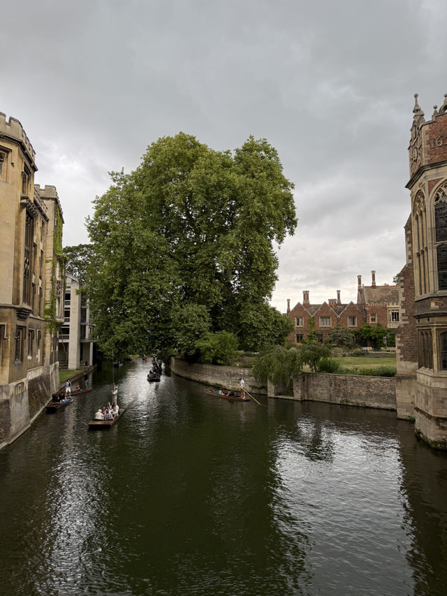 🏛️ Cambridge: A Day Among Dreaming Spires and Timeless Traditions