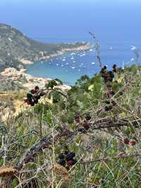 Sail into the Mediterranean charm of Isola del Giglio!